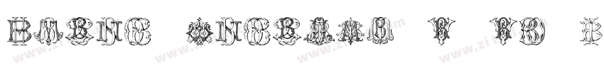 Octin Vintage B Bl R字体转换